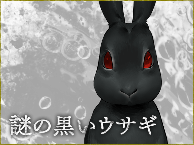 謎の黒いウサギ